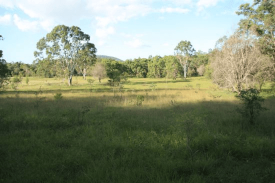 247 Anderleigh Road, GUNALDA, QLD 4570