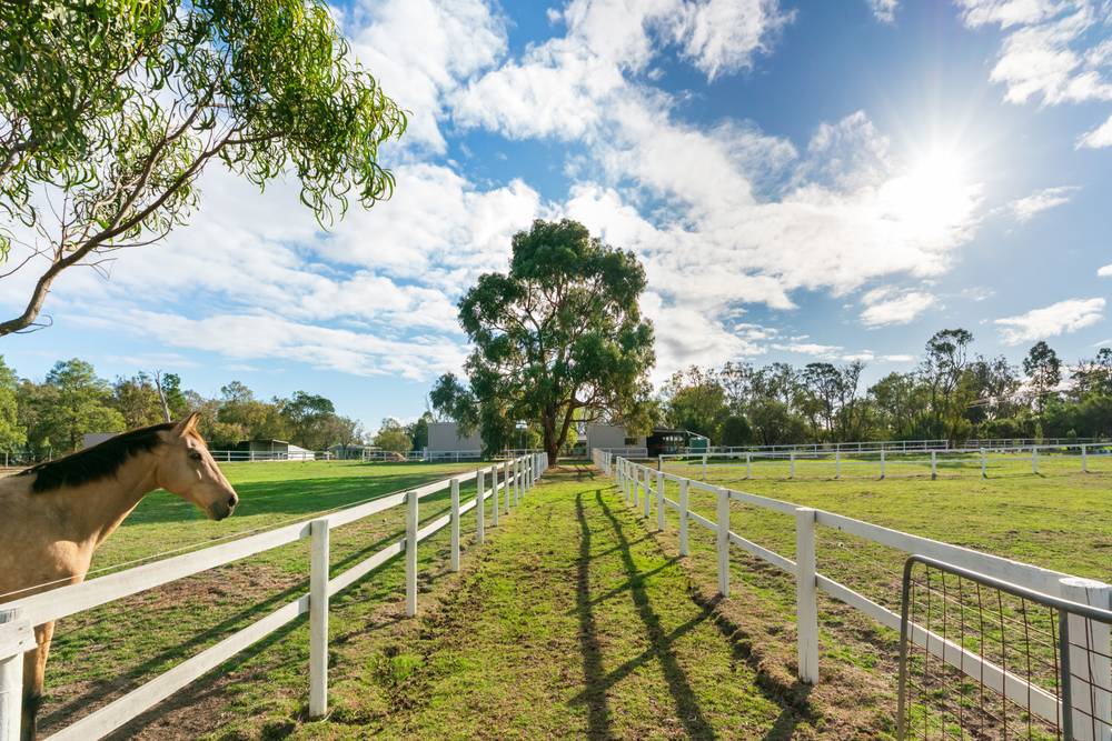 28 Scott Road, CRANBOURNE SOUTH, VIC 3977