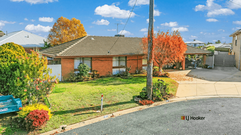 8  McBride Place, ECHUCA, VIC 3564