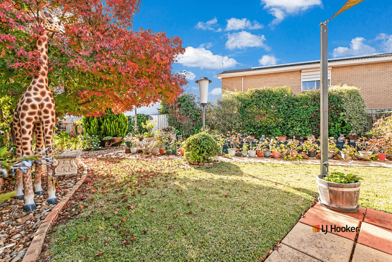 8  McBride Place, ECHUCA, VIC 3564