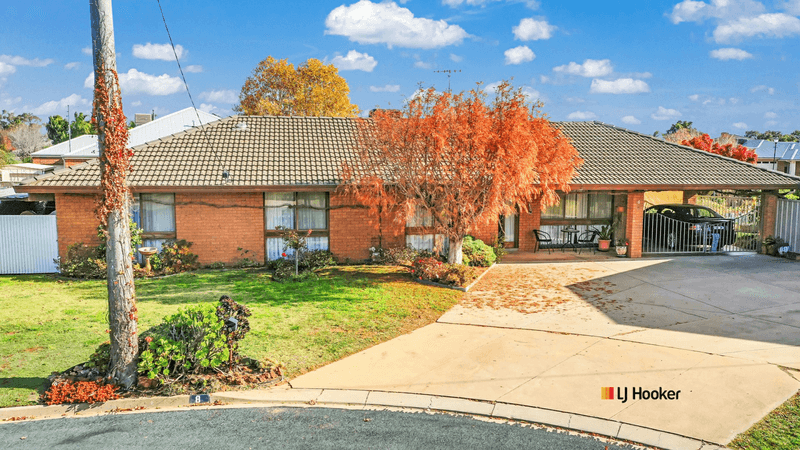 8  McBride Place, ECHUCA, VIC 3564