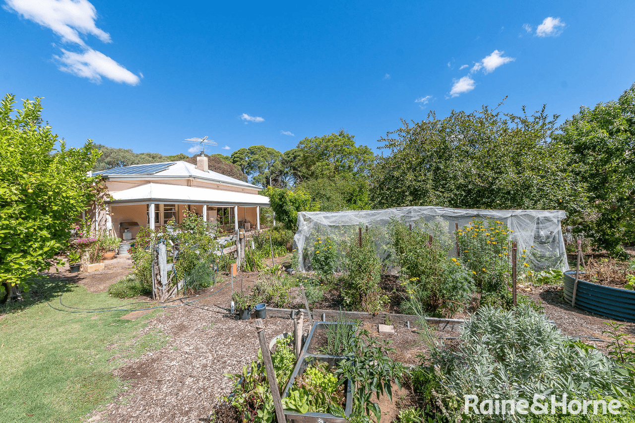 1811 Langhorne Creek Road, LANGHORNE CREEK, SA 5255