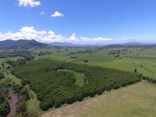 139 Homestead Road, KYOGLE, NSW 2474