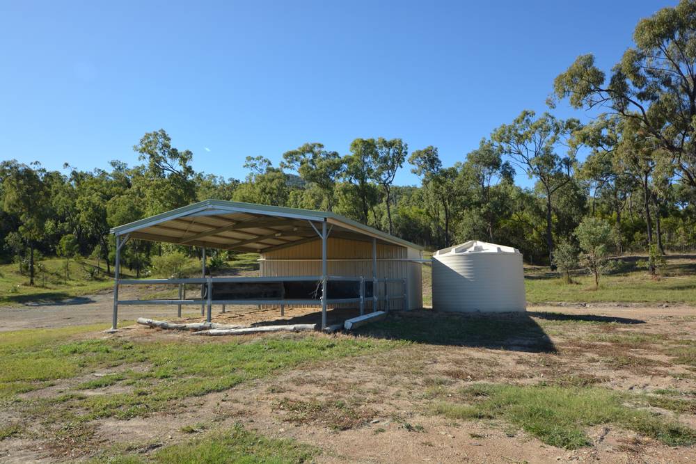 Ballard Street, LAKES CREEK, QLD 4701