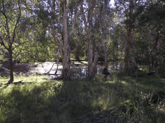 Lot 0 Cnr Gootchie and Sheehans Roads, GOOTCHIE, QLD 4650