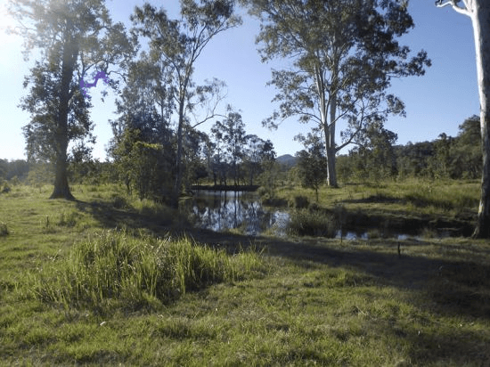 Lot 0 Cnr Gootchie and Sheehans Roads, GOOTCHIE, QLD 4650