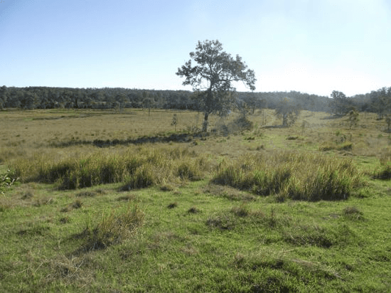 Lot 0 Cnr Gootchie and Sheehans Roads, GOOTCHIE, QLD 4650