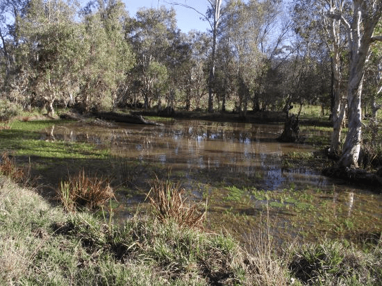 Lot 0 Cnr Gootchie and Sheehans Roads, GOOTCHIE, QLD 4650