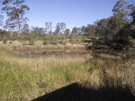 Lot 0 Cnr Gootchie and Sheehans Roads, GOOTCHIE, QLD 4650