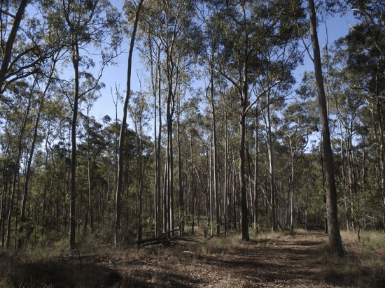 Lot 0 Cnr Gootchie and Sheehans Roads, GOOTCHIE, QLD 4650