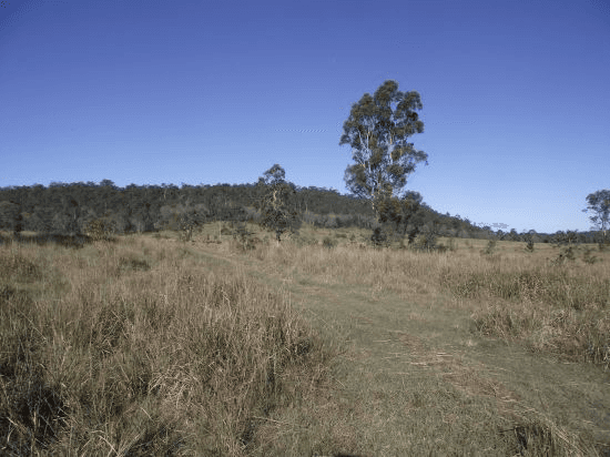 Lot 0 Cnr Gootchie and Sheehans Roads, GOOTCHIE, QLD 4650