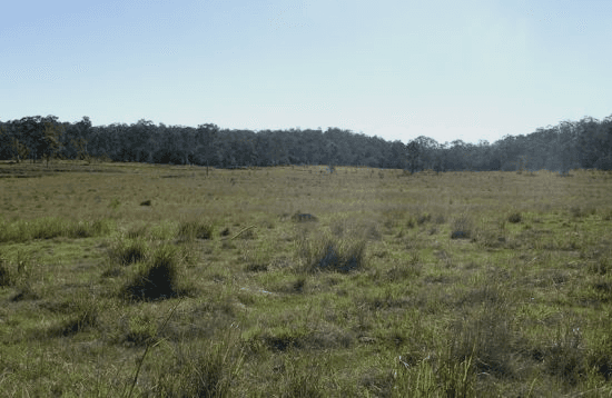 Lot 0 Cnr Gootchie and Sheehans Roads, GOOTCHIE, QLD 4650