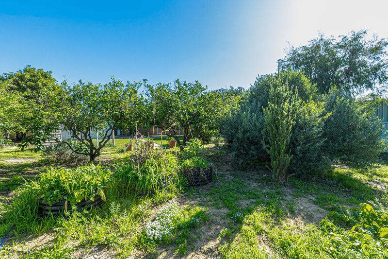 54 Moorpark Avenue, YANCHEP, WA 6035