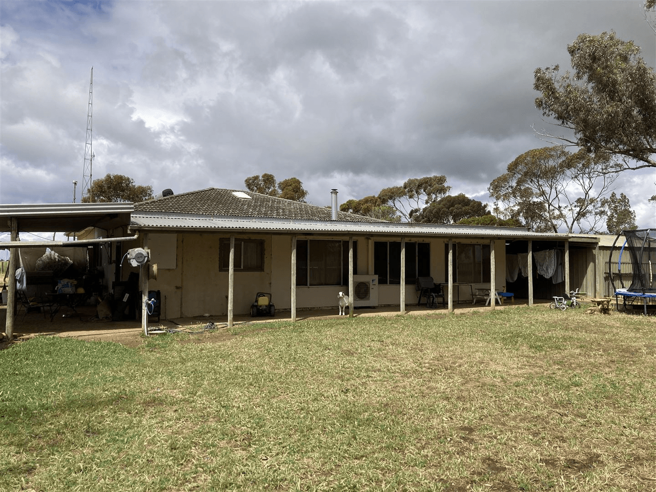 1535 Tooligie Hill Road, Murdinga, SA 5607