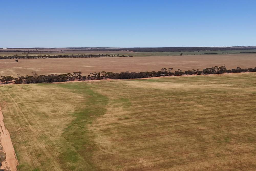 10520 Emu Fence Road, Hyden, WA 6359