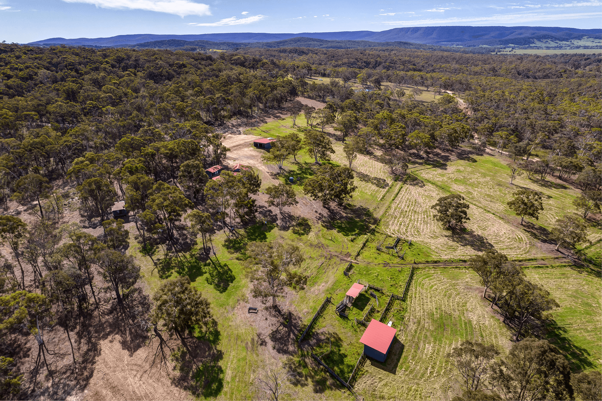 172 Rampion Hills Road, CARRICK, NSW 2580