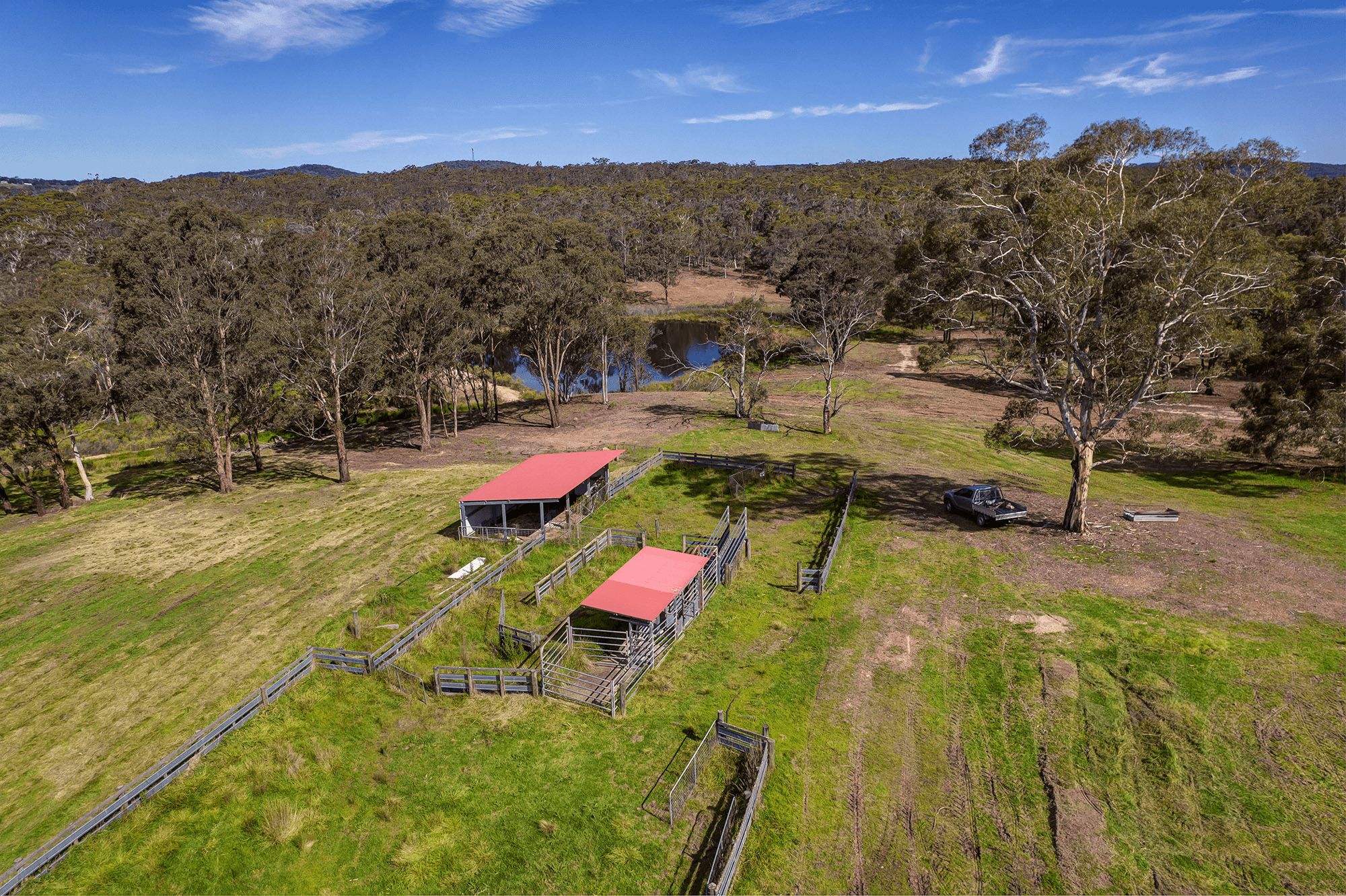 172 Rampion Hills Road, CARRICK, NSW 2580