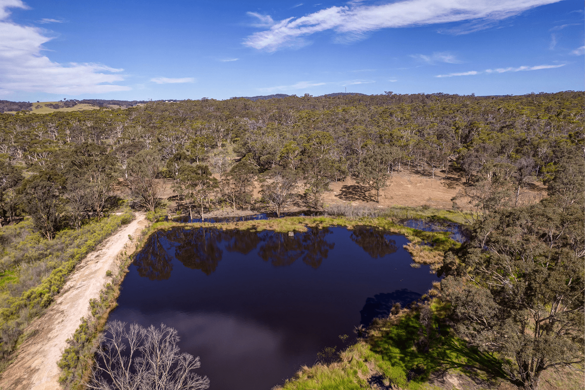 172 Rampion Hills Road, CARRICK, NSW 2580