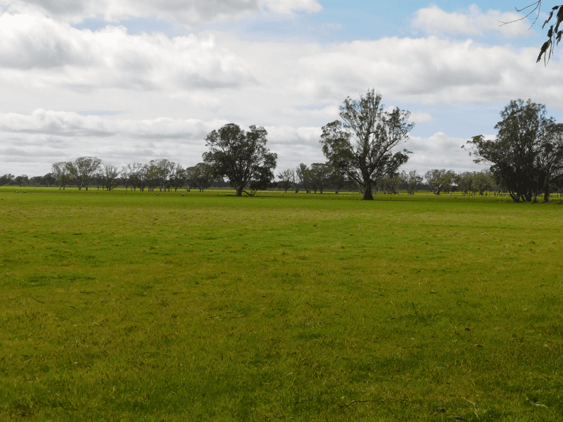 Proposed Lot Six Mile Well Road, BORDERTOWN, SA 5268