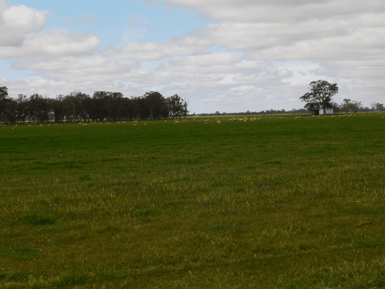 Proposed Lot Six Mile Well Road, BORDERTOWN, SA 5268