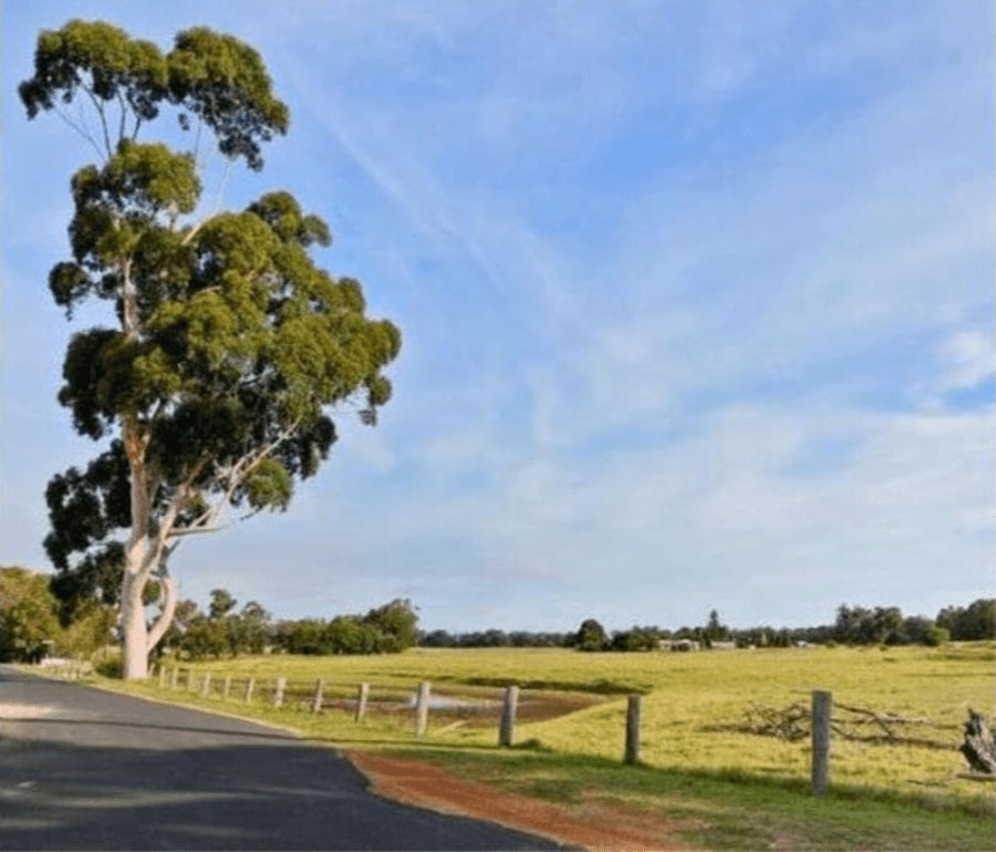 31 Moorland Avenue, GLEN IRIS, WA 6230