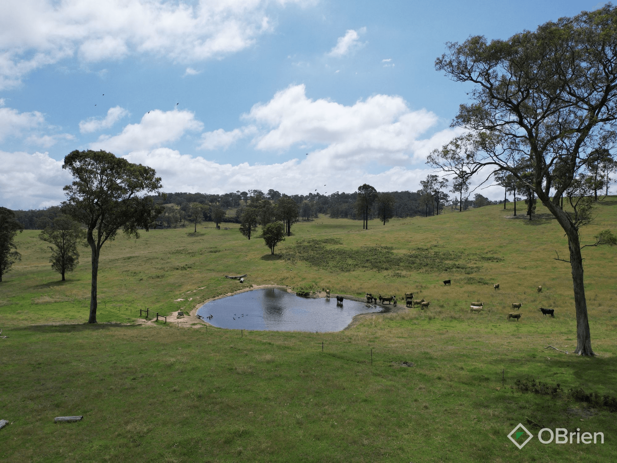 940 Orrs Road, Clifton Creek, VIC 3875