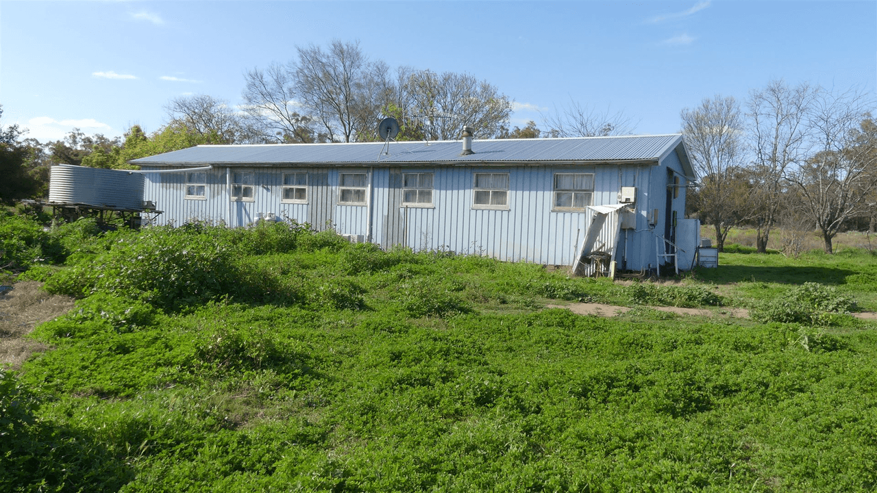 527 Carinda Road, WARREN, NSW 2824