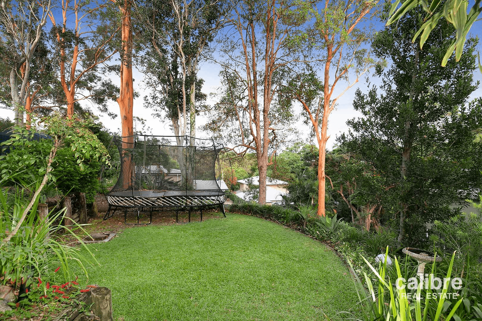 55 Outlook Crescent, Bardon, QLD 4065