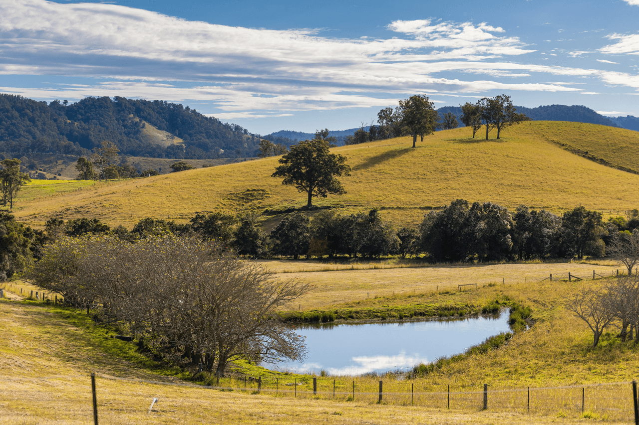 27 Valle Hi Way, Kundibakh, NSW 2429