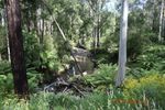 114 Duggan North Road, FUMINA, VIC 3825