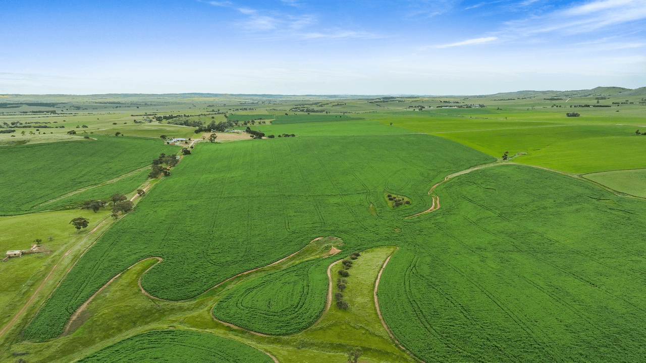 'Collins' Charles Hill Road, BETHEL, SA 5373