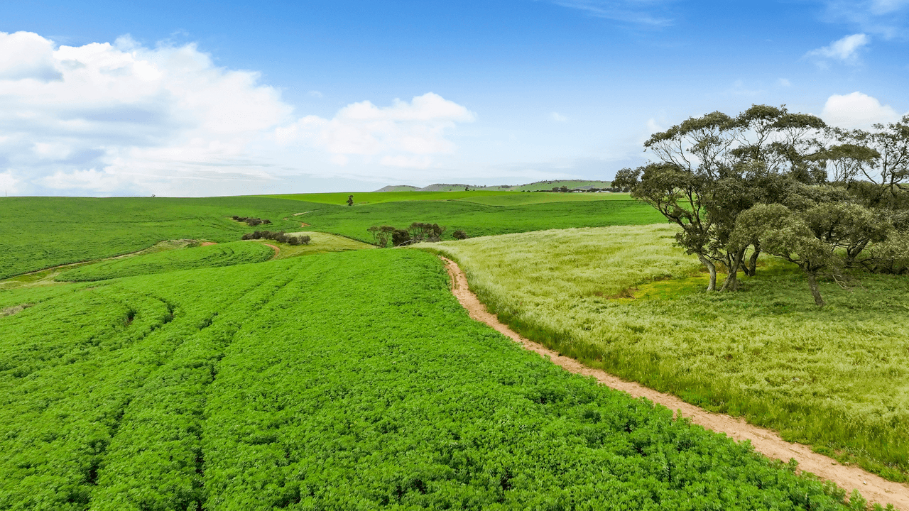 'Collins' Charles Hill Road, BETHEL, SA 5373