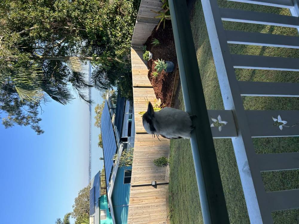 18 Kim Crescent, MACLEAY ISLAND, QLD 4184