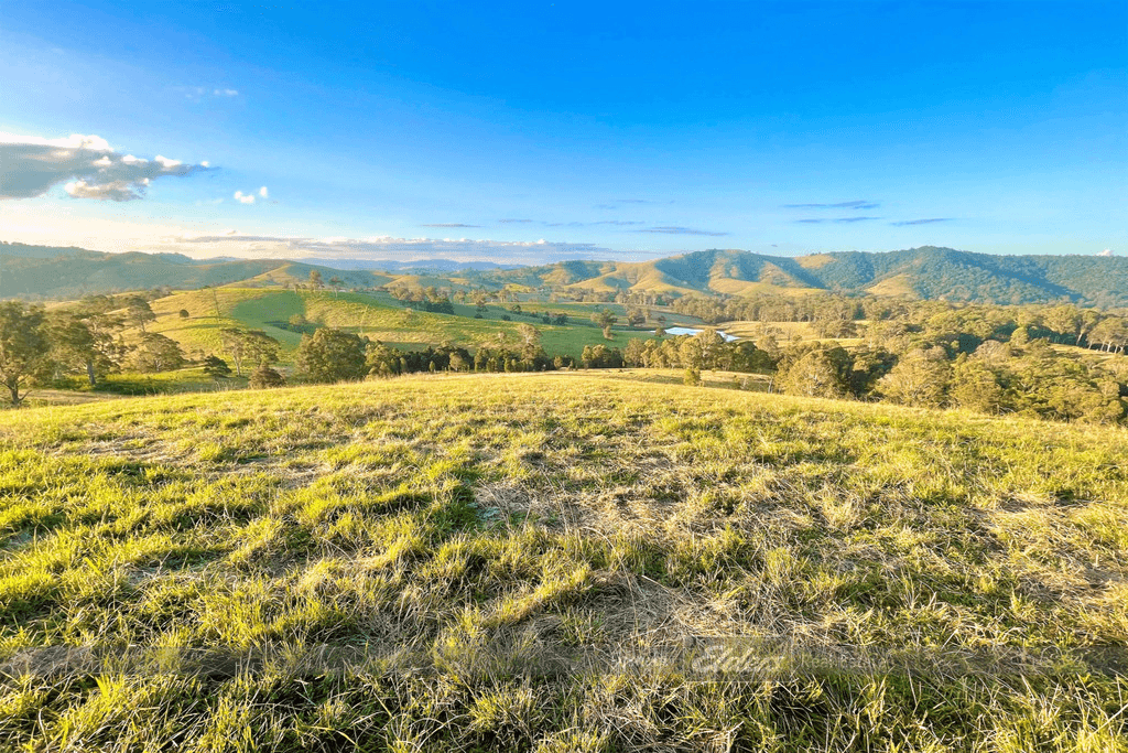 Lot 28 / 1144 Bunyah Road, BUNYAH, NSW 2429