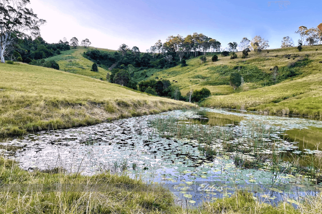 Lot 28 / 1144 Bunyah Road, BUNYAH, NSW 2429