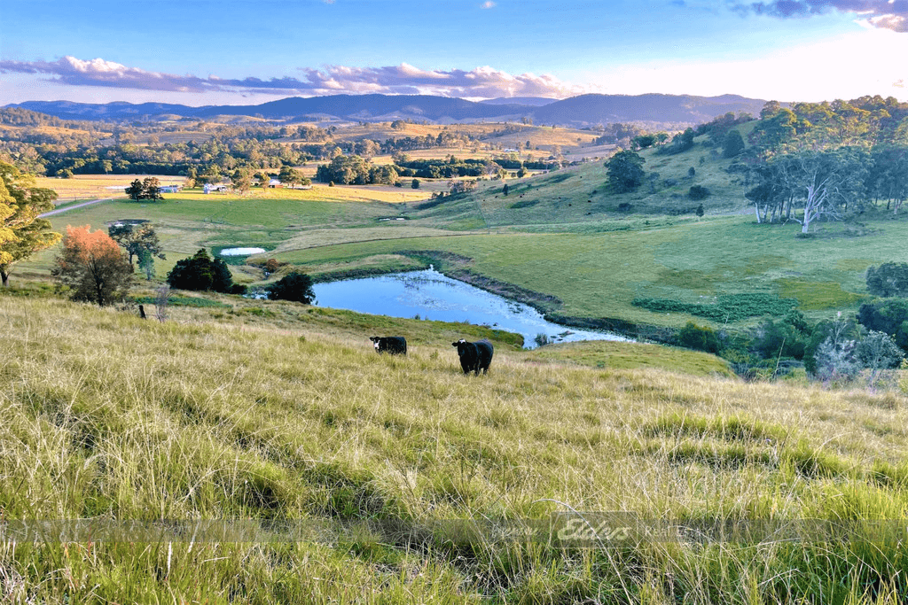 Lot 28 / 1144 Bunyah Road, BUNYAH, NSW 2429