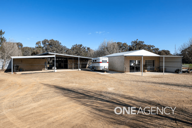 39 RIVER ROAD, ALFREDTOWN, NSW 2650