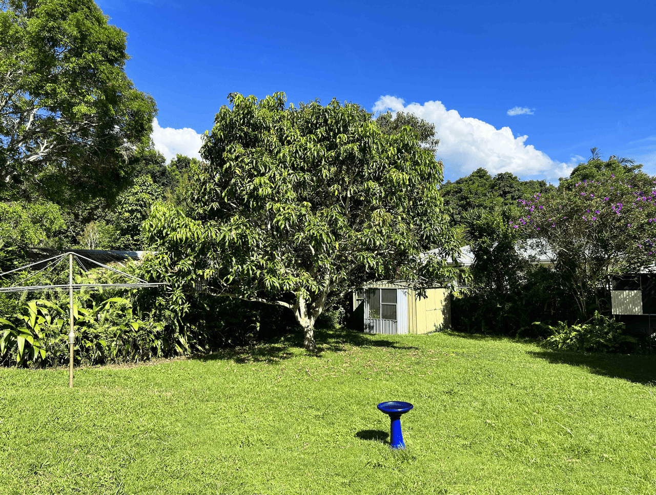 19 Evans Street, ATHERTON, QLD 4883