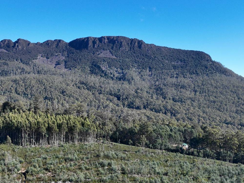 Lot 1 Highland Lakes Road, Golden Valley, TAS 7304