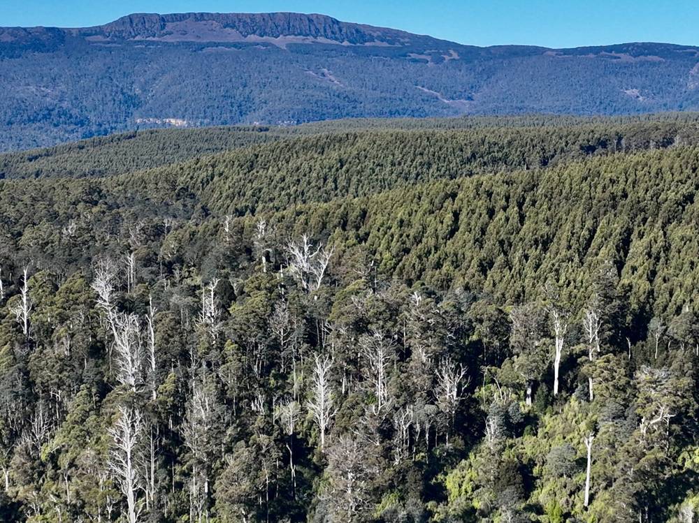 Lot 1 Highland Lakes Road, Golden Valley, TAS 7304
