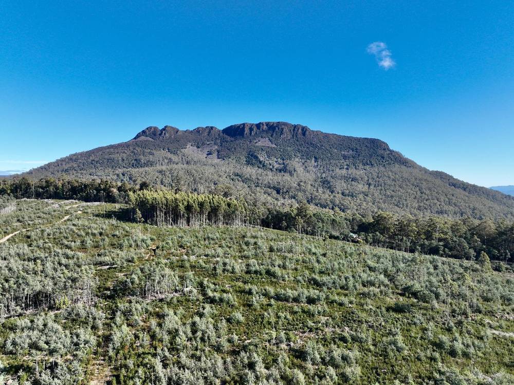 Lot 1 Highland Lakes Road, Golden Valley, TAS 7304