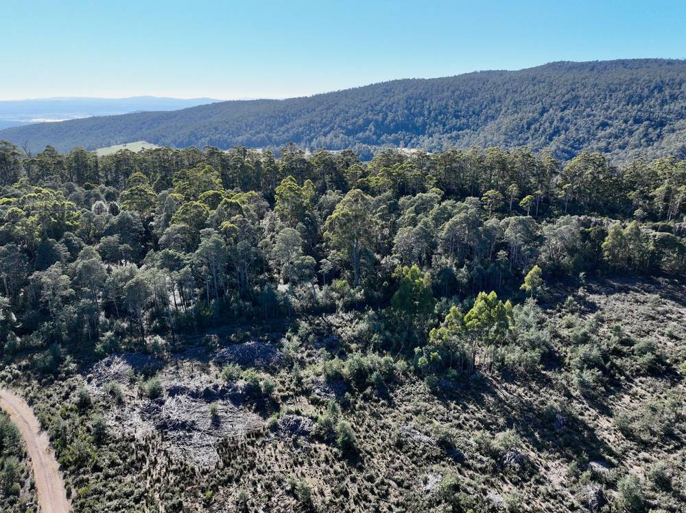 Lot 1 Highland Lakes Road, Golden Valley, TAS 7304