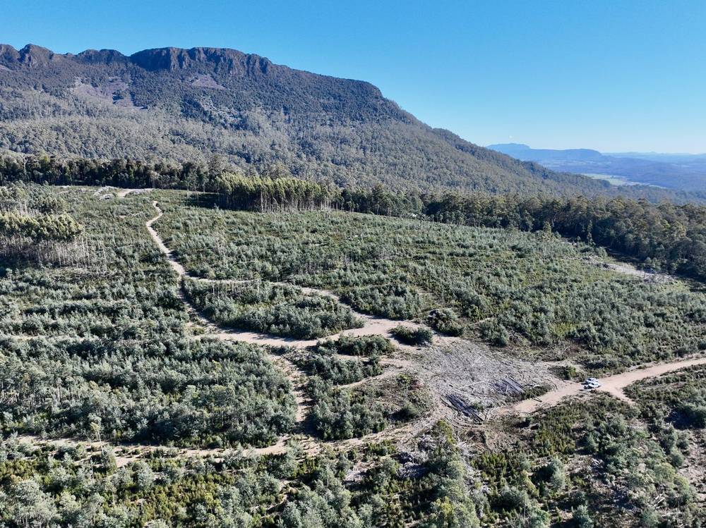 Lot 1 Highland Lakes Road, Golden Valley, TAS 7304