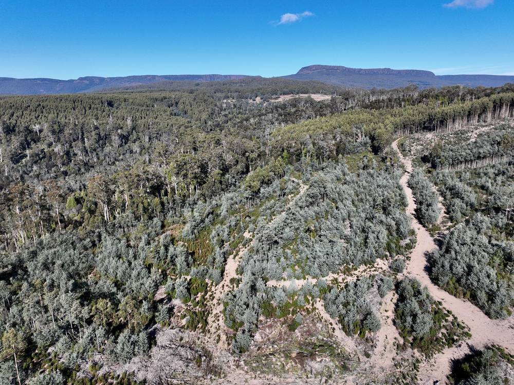 Lot 1 Highland Lakes Road, Golden Valley, TAS 7304