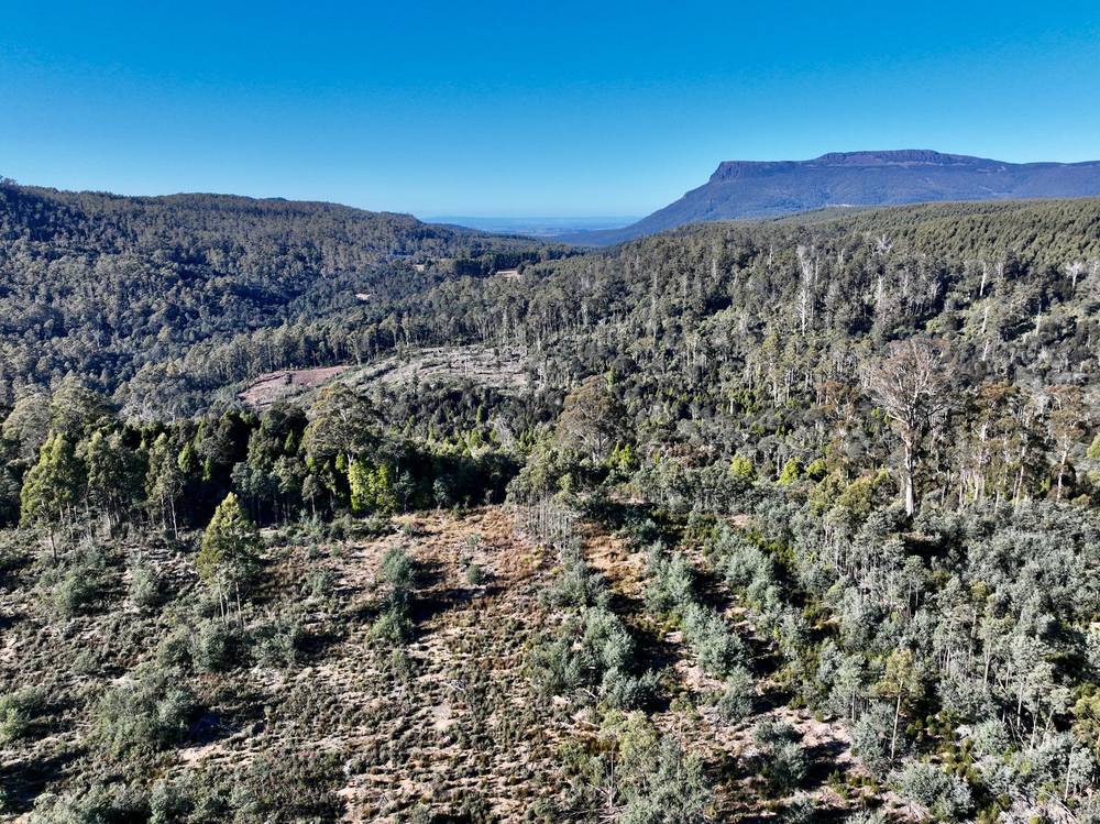 Lot 1 Highland Lakes Road, Golden Valley, TAS 7304