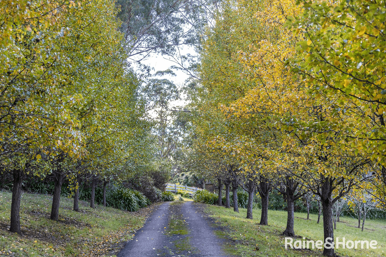 115C Jarretts Lane, KANGAROO VALLEY, NSW 2577