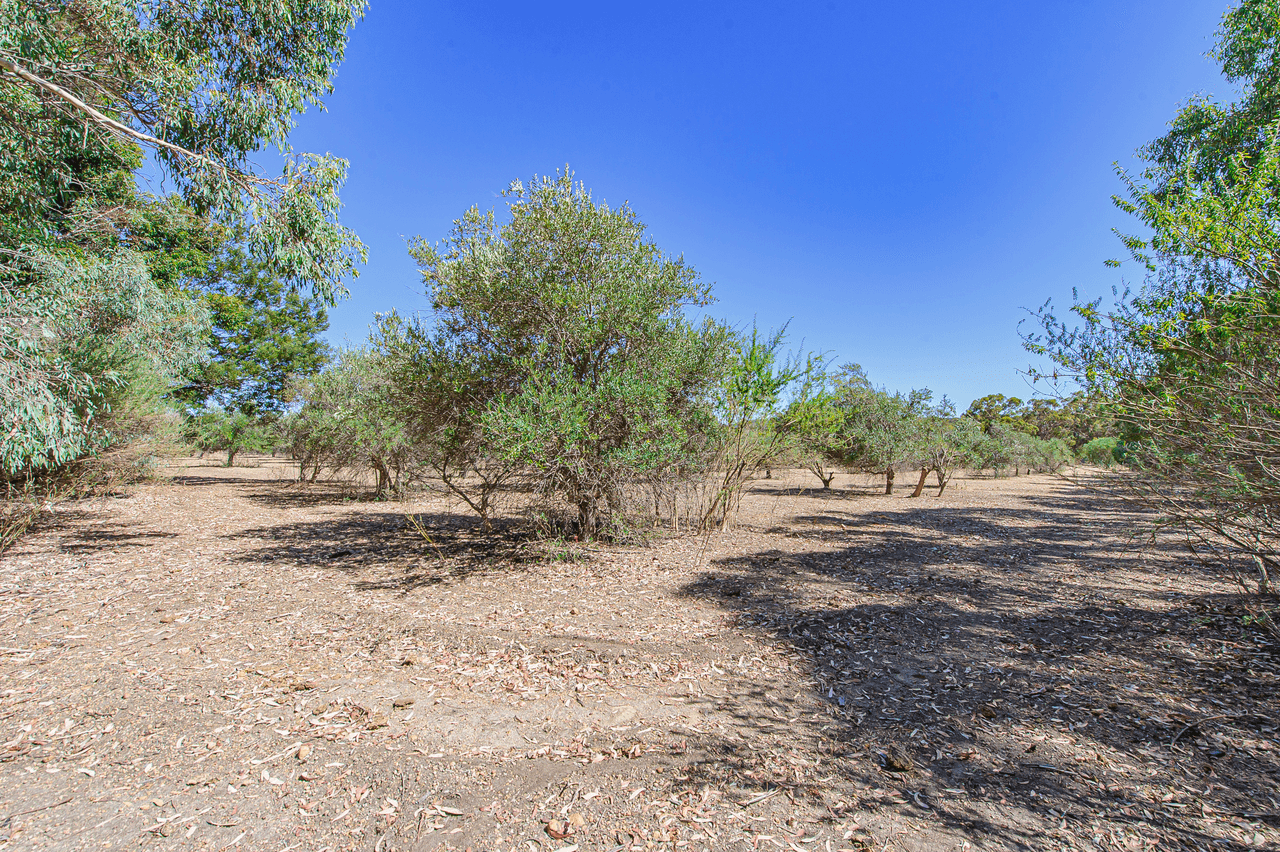 74 Higgs Place, BAKERS HILL, WA 6562