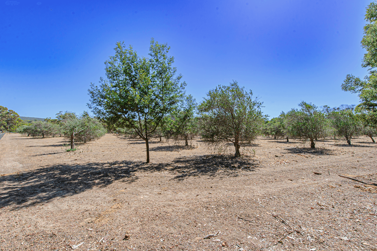 74 Higgs Place, BAKERS HILL, WA 6562