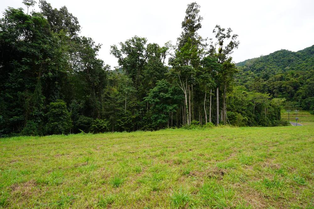 Lot 16 Cascades Drive, REDLYNCH, QLD 4870