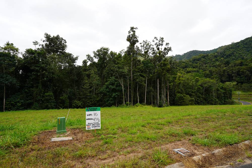 Lot 16 Cascades Drive, REDLYNCH, QLD 4870